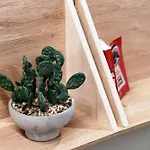 Apartment Vertical Garden By Quokka 360 - Modern In Downtown Como